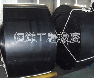 異形橡膠輸送帶_超寬橡膠環(huán)形帶